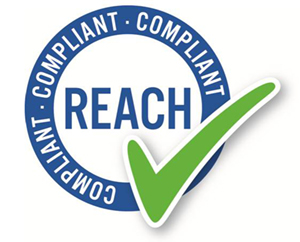 REACH logo